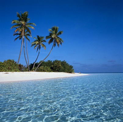 Isla con palmeras, arena blanca y mar azulado